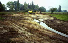 Project Picture