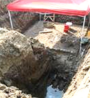 Project Picture